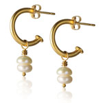 gold earring photo