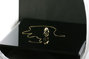 IMAGE: http://www.tabletopstudio.com/images/jewelryphotography/seahorse_setup200h.jpg